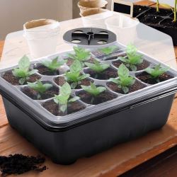 Seed Starter Tray with Grow Light