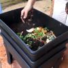 Worm Cafe -Tumbleweed - Feed with Kitchen Scraps