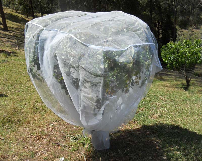 GardensOnline: Fruit Saver Net