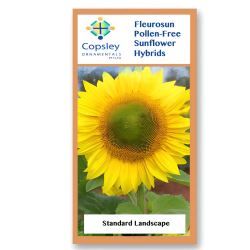 Landscape F1 FleuroSun Sunflower Seeds