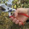 Felco 31 - Anvil pruning secateurs