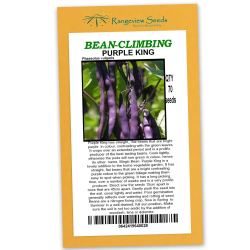 Bean Climbing Purple King - Rangeview Seeds