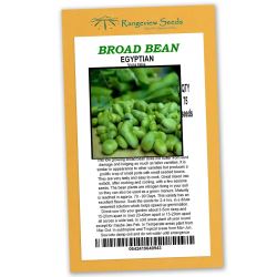 Broad Beans Egyptian - Rangeview Seeds