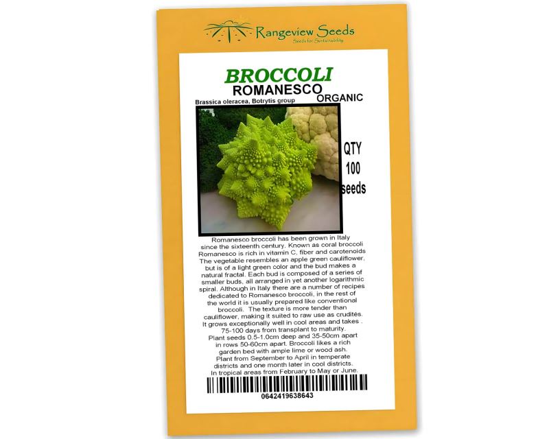 Broccoli Romanesco - Rangeview Seeds