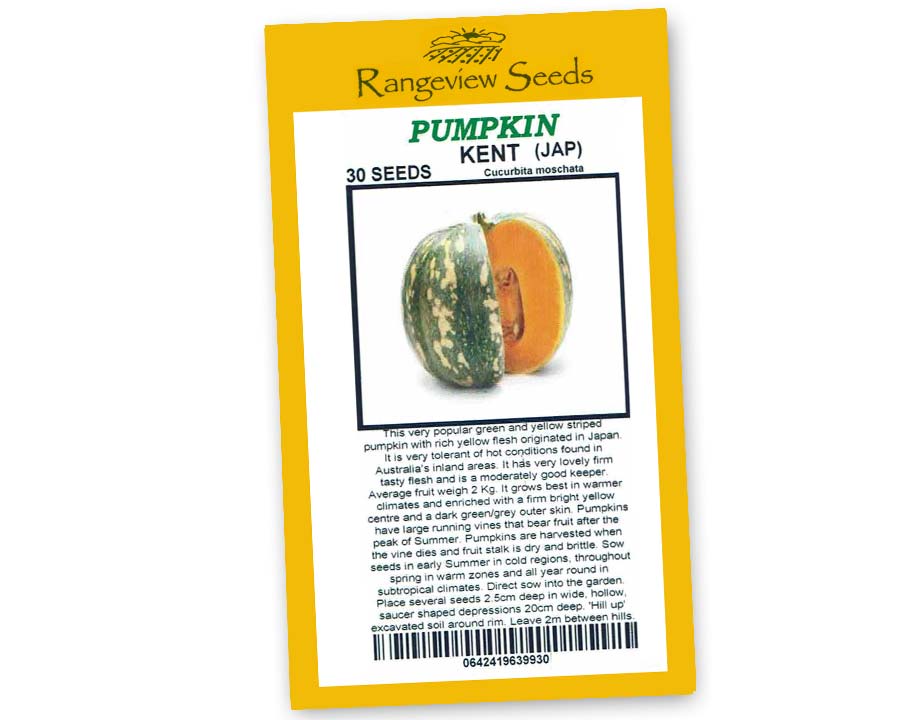 Pumpkin Kent - Rangeview Seeds | GardensOnline