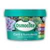 Osmocote sustained release fertiliser for Cacti and Succulents