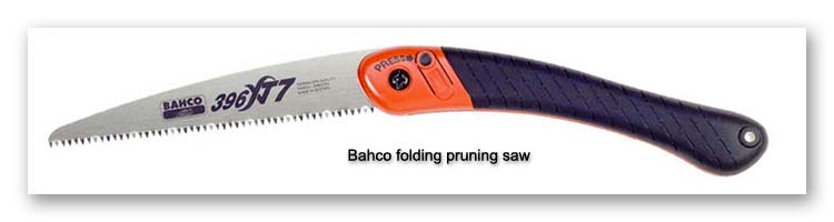 Pruning saw