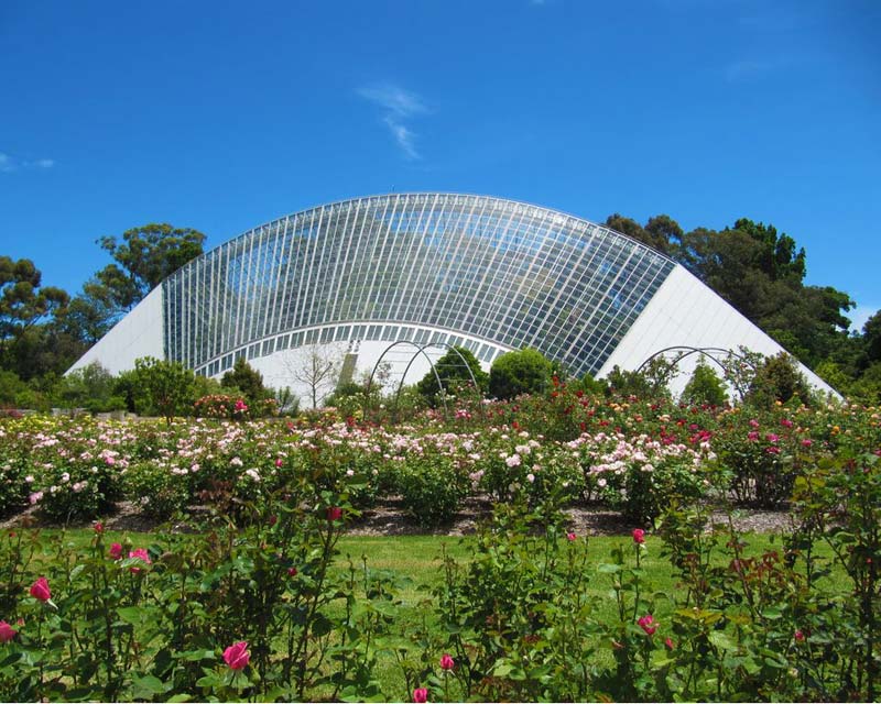 The spectacular glasshouse in Adelaide botanic gardens - photo supplied by Adelaide Botanic Garden