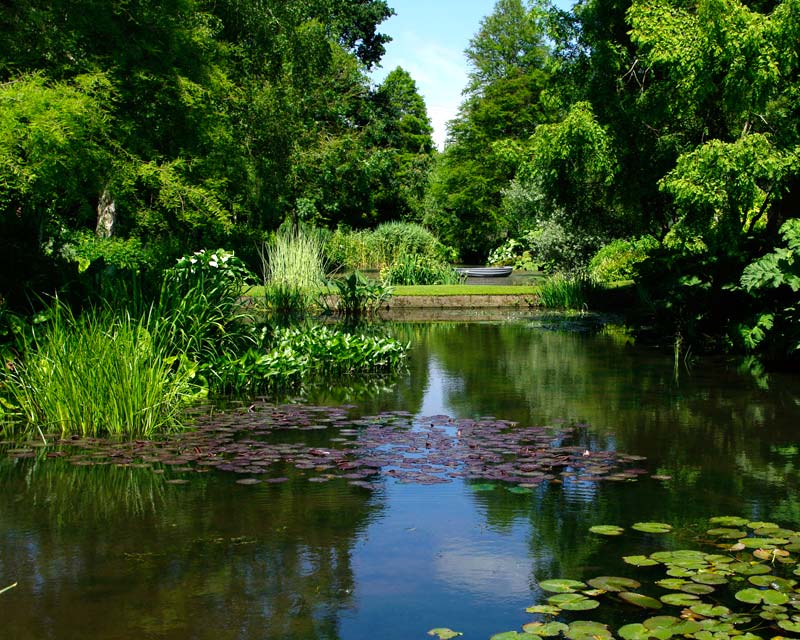 GardensOnline: Beth Chatto Gardens | Gardens Of The World