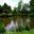 Savill Gardens - Middle Lake