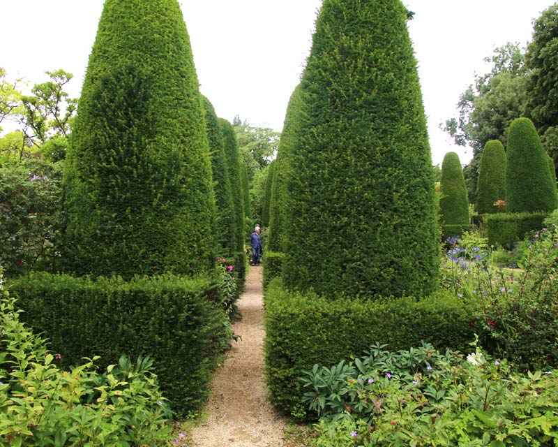 Hidcote Pillar Garden