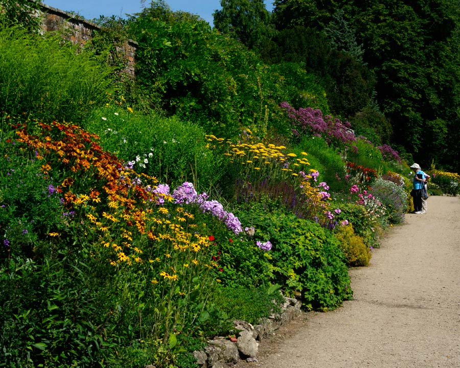 Summer borders - Waterperry Gardens