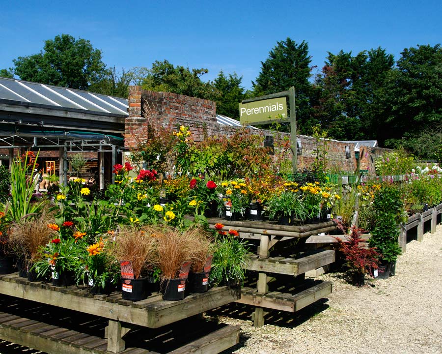 Waterperry Plant Centre and shop have a large selection of plants and garden tools