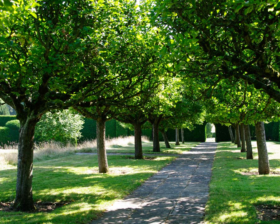 Hatfield House East Garden (open on Wednesdays) Orchard
