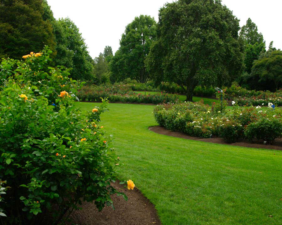 Garden Of World: Hamilton Gardens