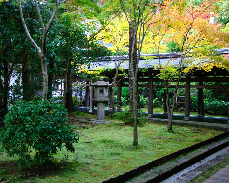 Ryoanji Zen Rock Garden, Kyoto - The temple moss garden