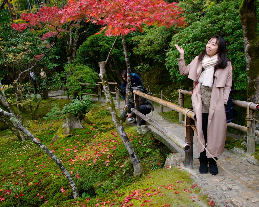 Gingkakuji - the Silver Pavillion and Gardens, Kyoto.  The act of 'Momiji' adoring the autumn colours.