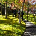 Hakone Museum of Art Moss Garden