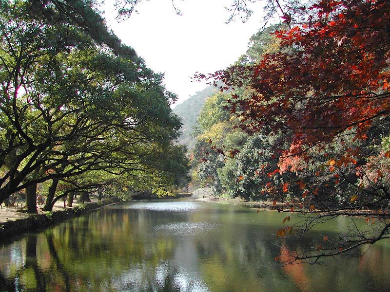 Tree lined lakes, especially striking in autumn - photos supplied by Ritsurin Gardens