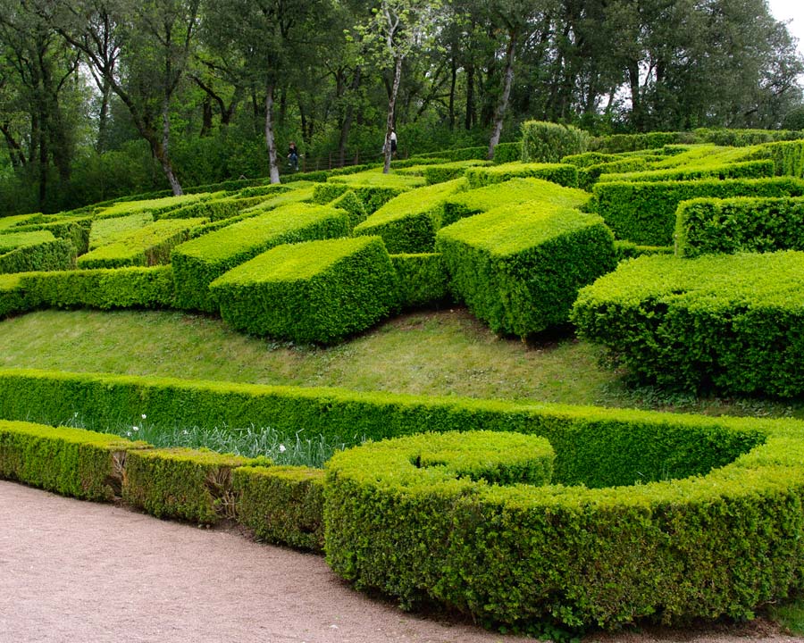 Topiary as art - perhaps  - The Gardens of Marqueyssac