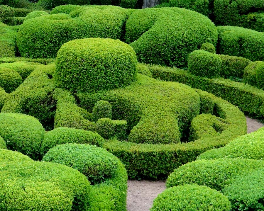 Sometimes just convoluted  - The Gardens of Marqueyssac