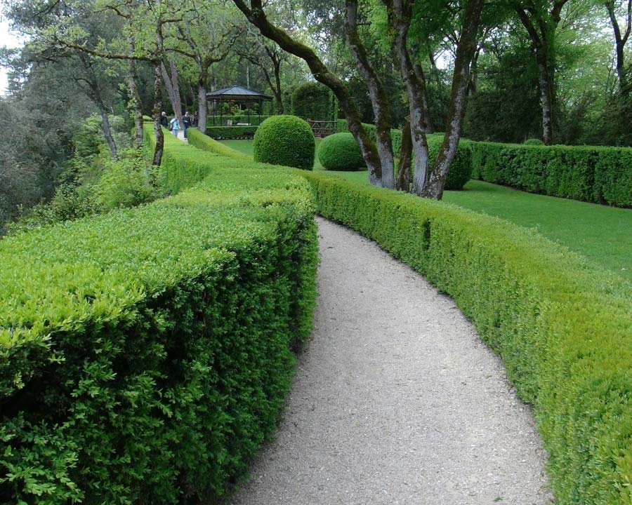 Pathways, box hedges and great views - that is Marqueyssac.