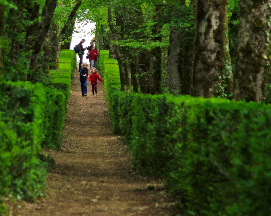 6 kilometers of woodland walks - The Gardens of Marqueyssac