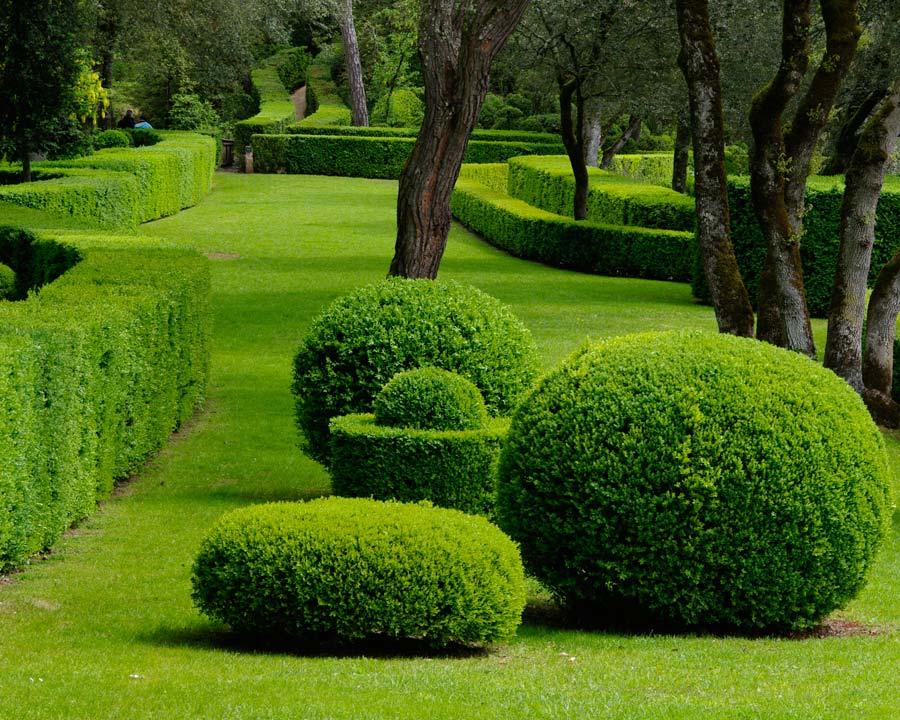 Topiary statements everywhere you look - Marqueyssac