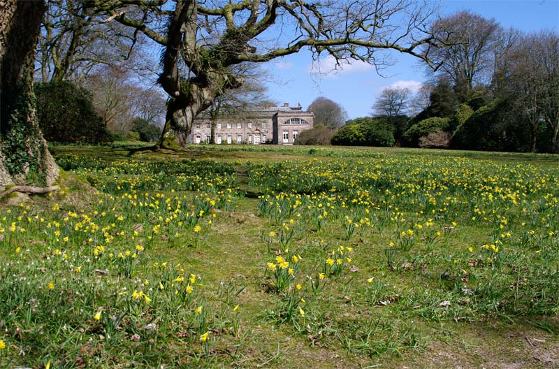 Lawns at rear of house - Stourhead Gardens