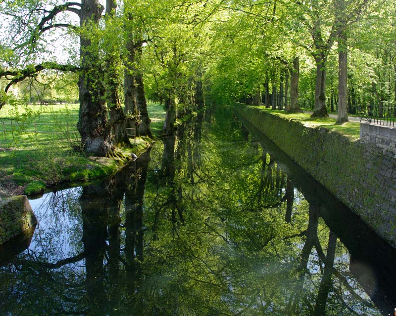 Even the moat is pretty -  - Chateau de Chenonceau
